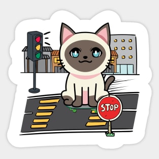 Cute Siamese cat is skate boarding on the street Sticker